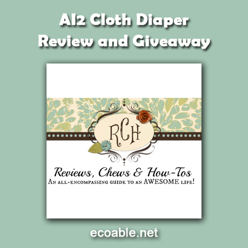All in two cloth diapers review
