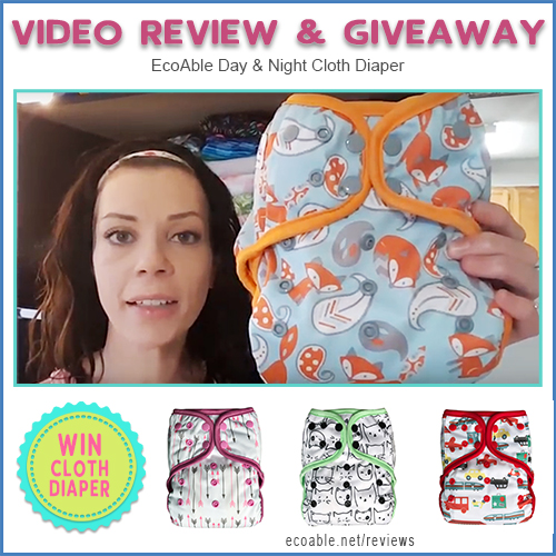 Video Review: EcoAble Day & Night Cloth Diaper