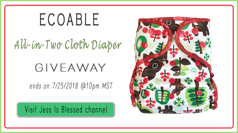 Jess Is Blessed Cloth Diaper Giveaway