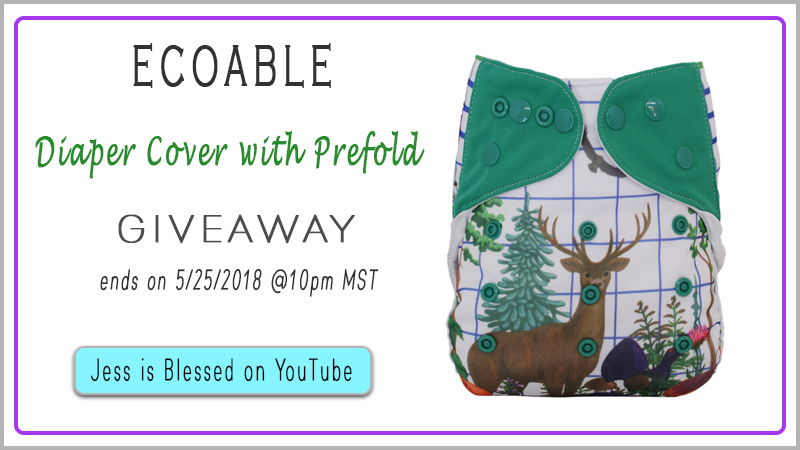EcoAble Baby Cloth Diaper Cover Giveaway